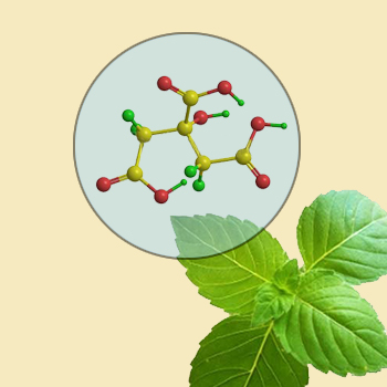 Molecular Leaf