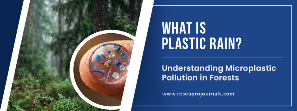 What Is Plastic Rain? Understanding Microplastic Pollution in Forests