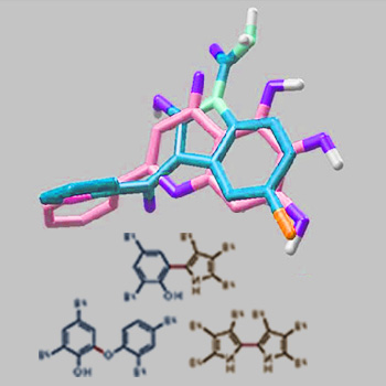 Template: A New Molecular Binding Tool by Scripps