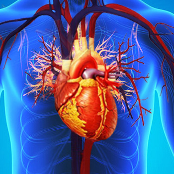 Studies reveal safe checkpoint inhibitors for cardiovascular toxicities