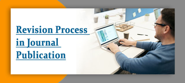 Revision Process in Journal Publication