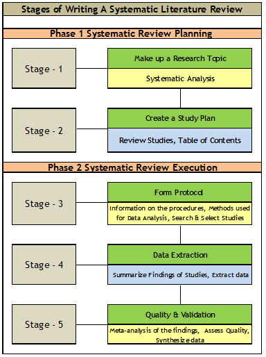 format for systematic literature review