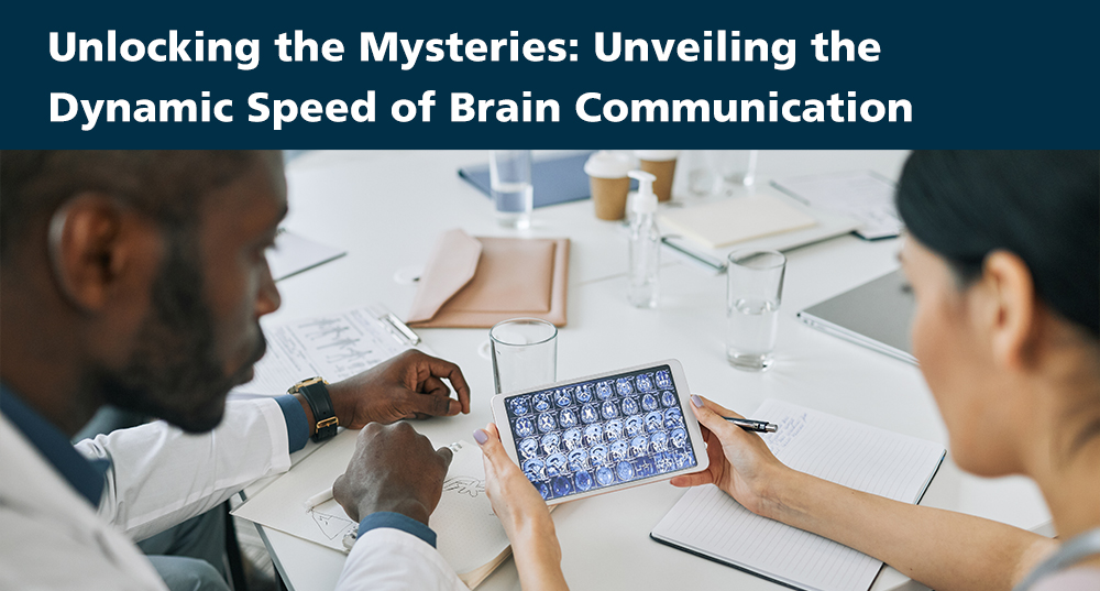 Unlocking the Mysteries: Unveiling the Dynamic Speed of Brain Communication
