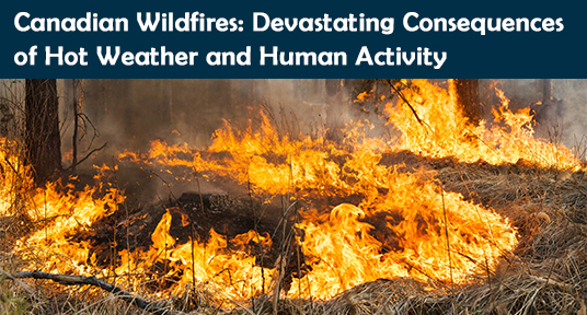Canadian Wildfires: Devastating Consequences of Hot Weather and Human Activity