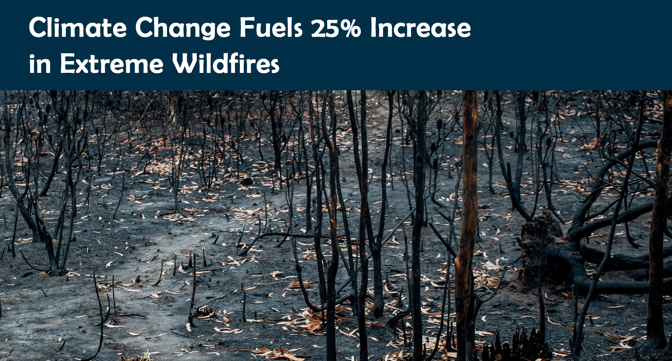 Climate Change Fuels 25% Increase in Extreme Wildfires