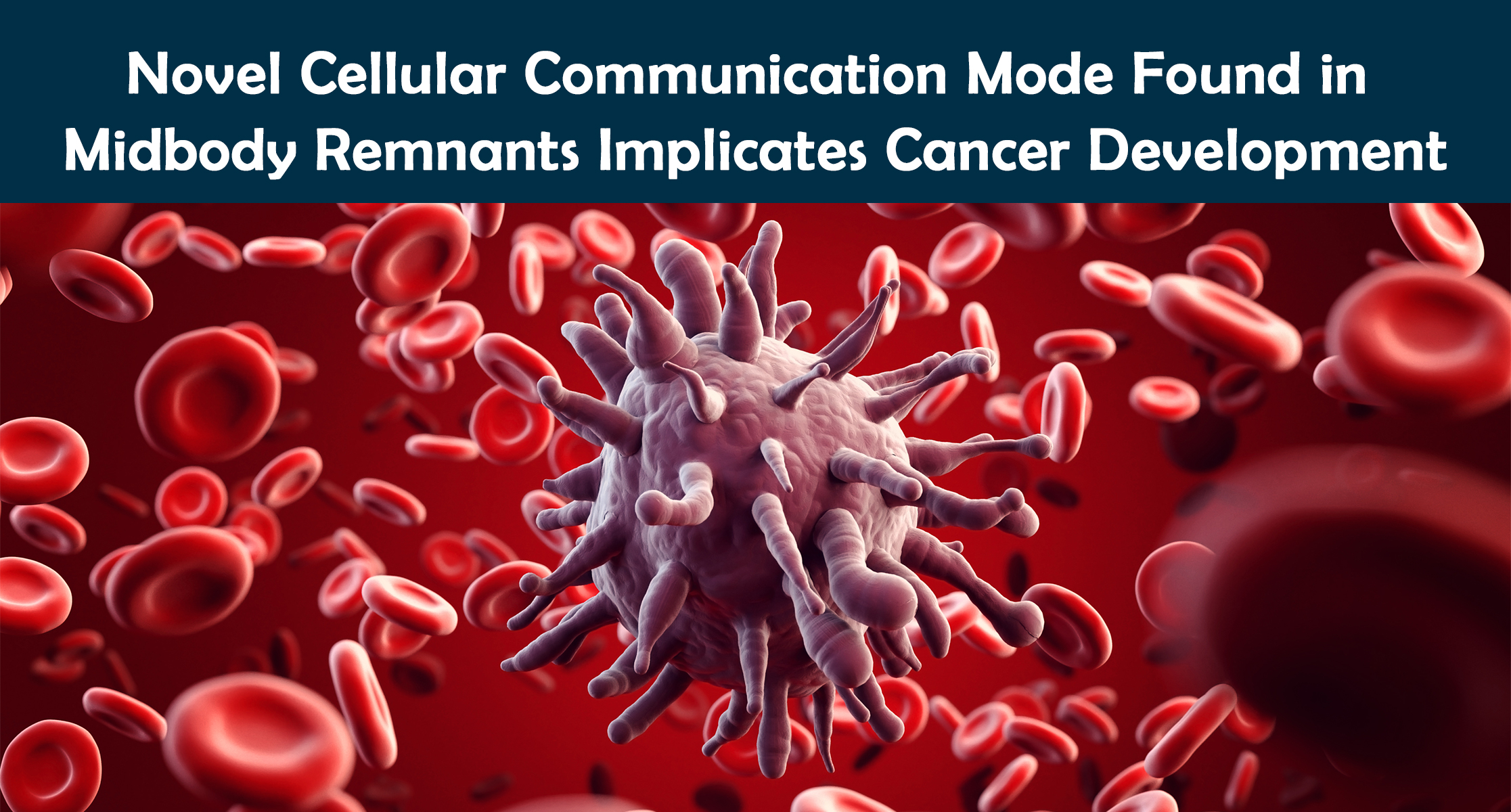 Novel Cellular Communication Mode Found in Midbody Remnants Implicates Cancer Development