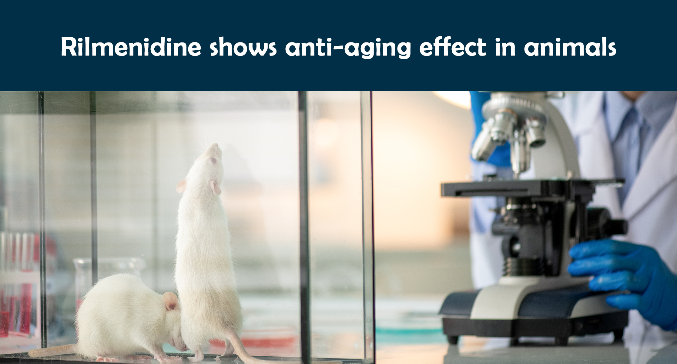 Rilmenidine shows anti-aging effect in animals