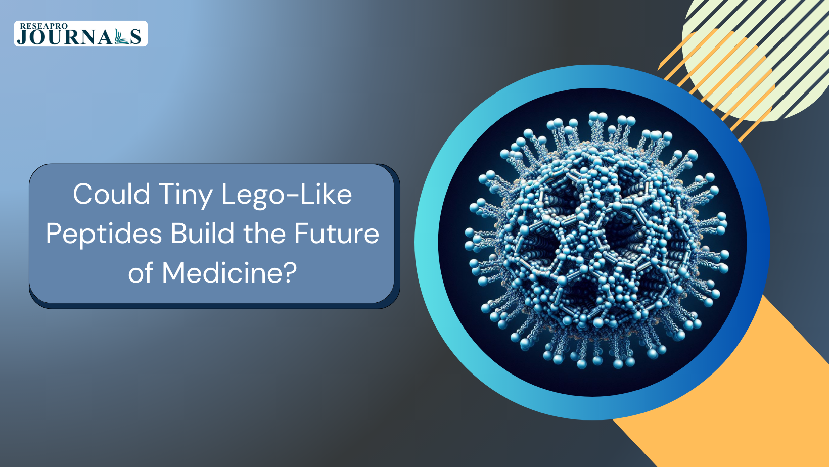 Could Tiny Lego-Like Peptides Build the Future of Medicine?