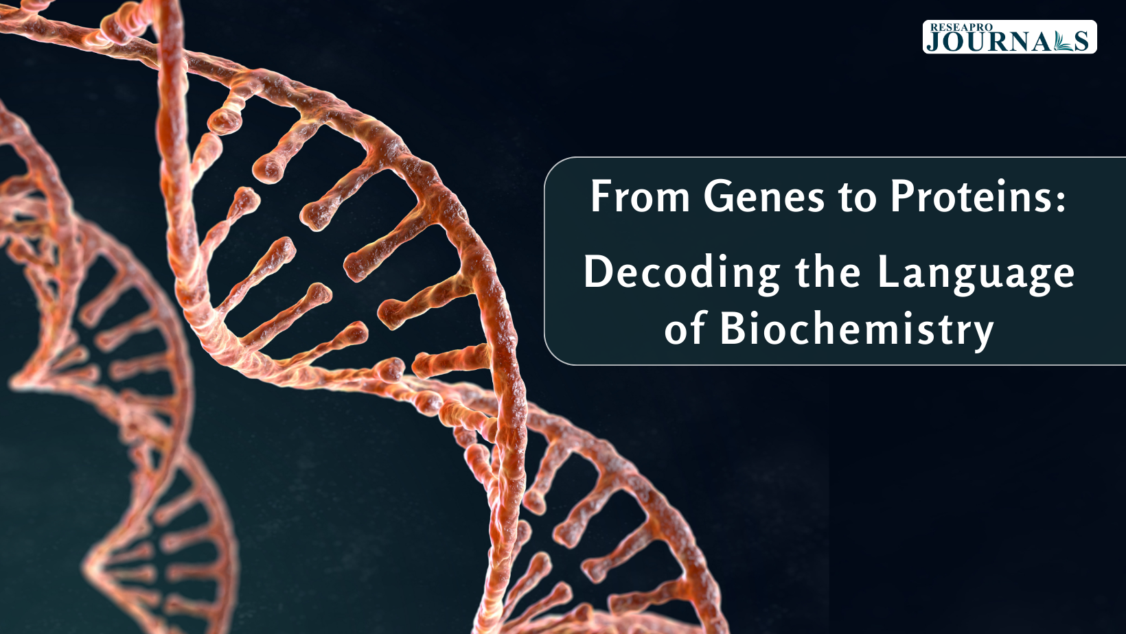From Genes to Proteins: Decoding the Language of Biochemistry