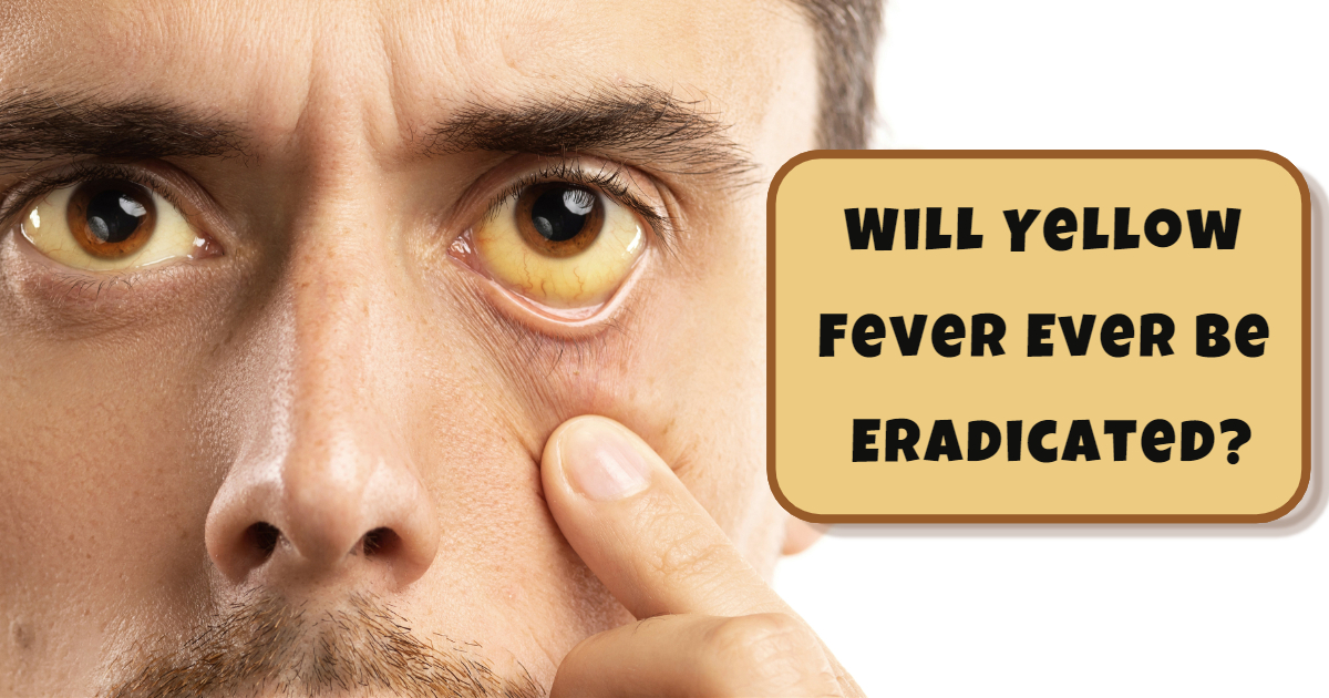 Will Yellow Fever Ever Be Eradicated?