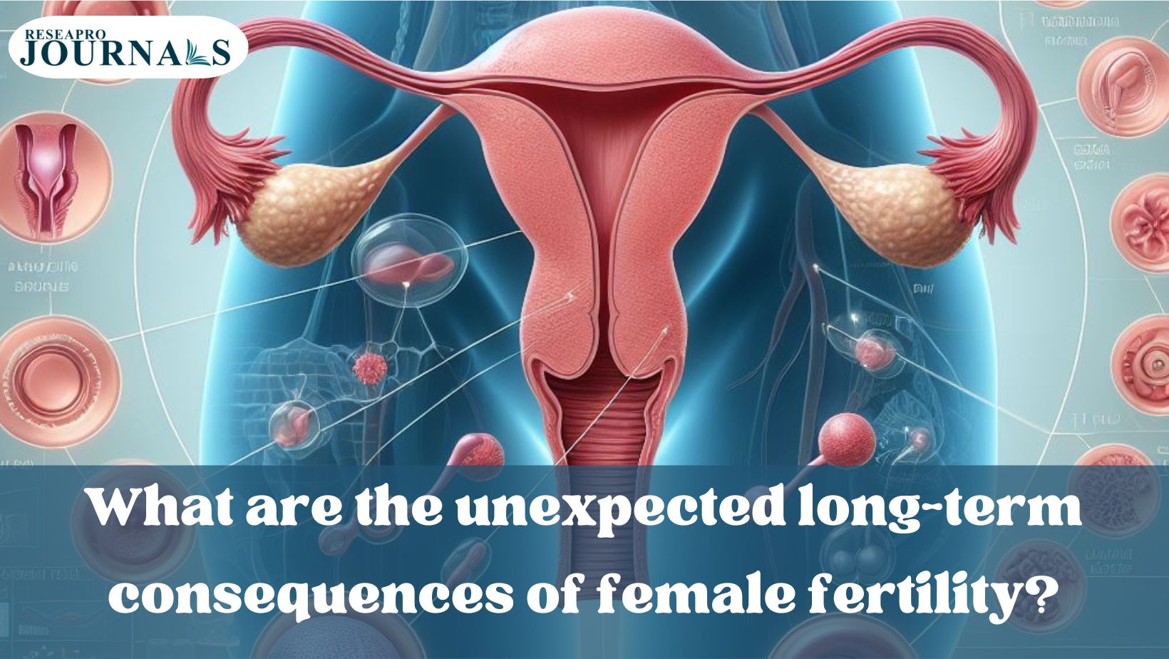 Female fertility’s long-term impacts: health, hormones, and well-being.
