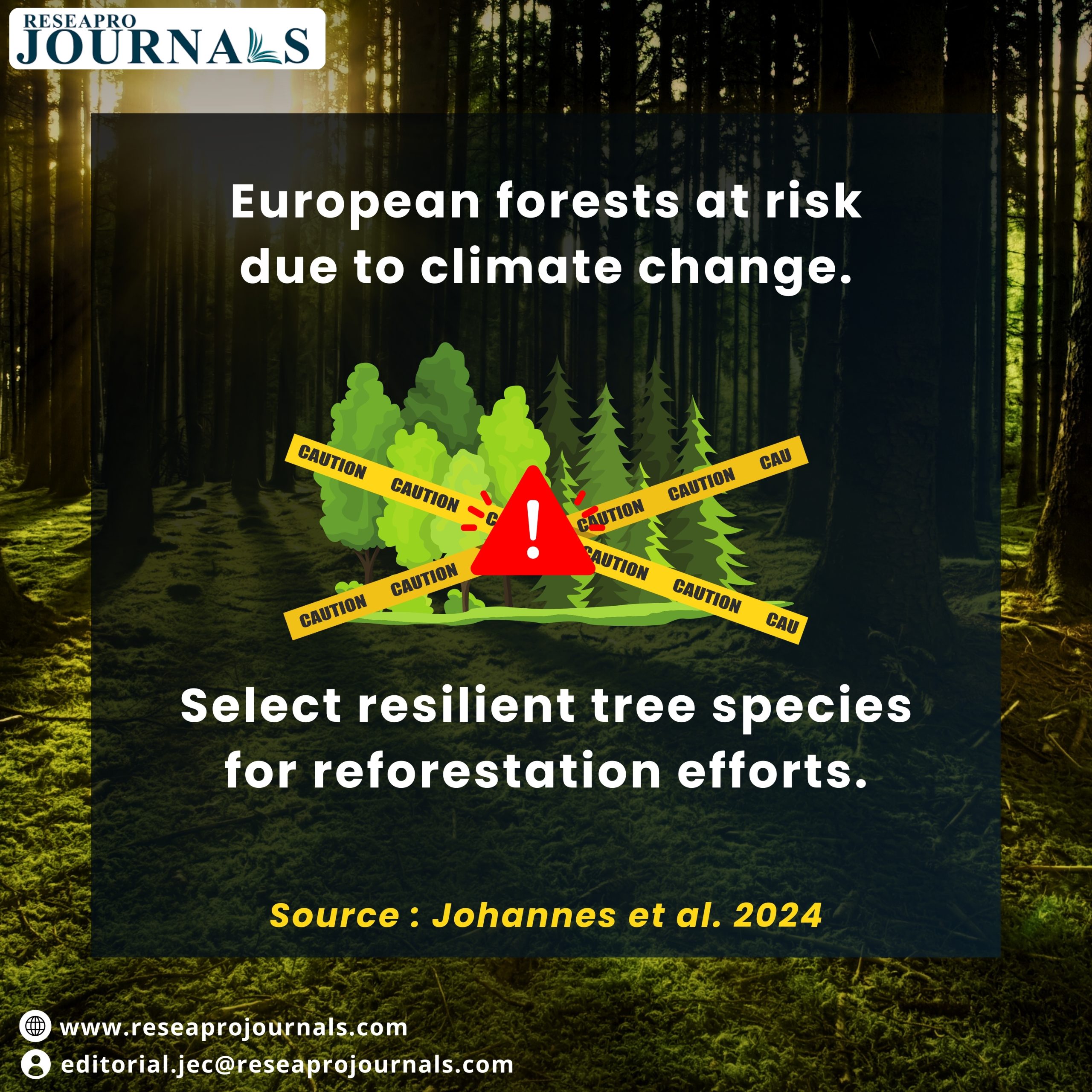 Future-Proofing Forestry: Study Reveals Limited Tree Species Can Withstand Climate Change in Europe